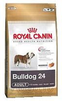 Royal Canin Bulldog 24 adult 12 kg pašaras anglų buldogų veislės šunims nuo 12 mėn.